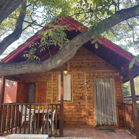 Cabanas De Nerpio Εξωτερικό φωτογραφία